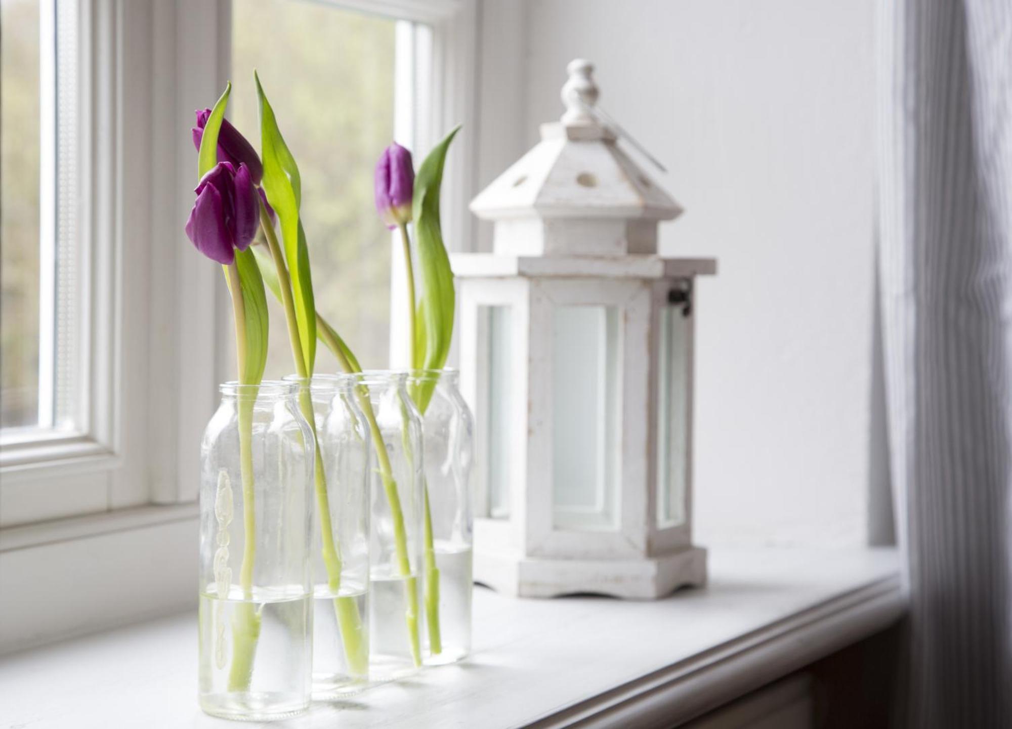 Ferienhaeuser Im Sylter Gartenweg Habitación foto